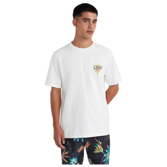O'neill Ανδρική κοντομάνικη μπλούζα Beach Graphic T-Shirt O'neill Ανδρική κοντομάνικη μπλούζα Beach Graphic T-Shirt